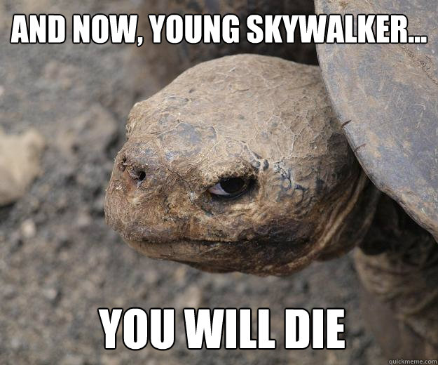 And now, young Skywalker...  you will die  Murder Turtle
