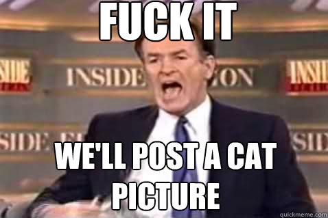 fuck it We'll Post a cat picture  Fuck It Bill OReilly
