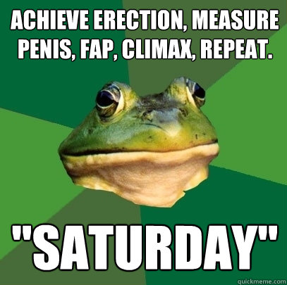 achieve erection, measure penis, fap, climax, repeat. 