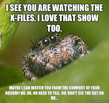 I see you are watching the X-files, I love that show too.  Maybe I can watch too from the comfort of your bosom? No, ok, no need to yell. Oh, don't sic the cat on me... - I see you are watching the X-files, I love that show too.  Maybe I can watch too from the comfort of your bosom? No, ok, no need to yell. Oh, don't sic the cat on me...  Misunderstood Spider