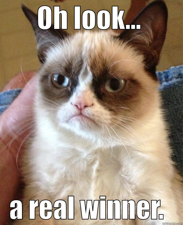 winner  - OH LOOK... A REAL WINNER.  Grump Cat
