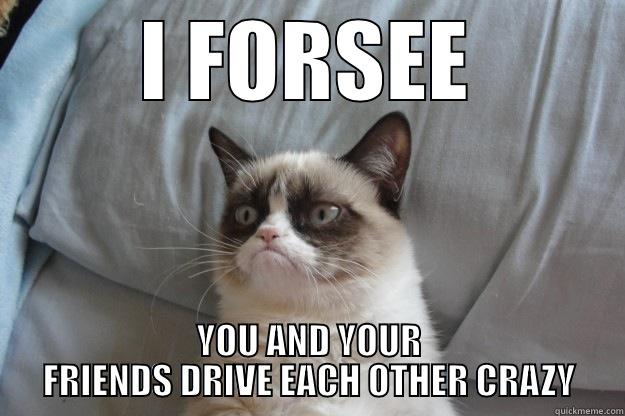 Grumpy Cat will be always Grumpy Cat - I FORSEE YOU AND YOUR FRIENDS DRIVE EACH OTHER CRAZY Grumpy Cat