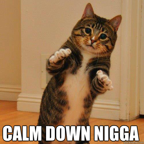  CALM DOWN NIGGA -  CALM DOWN NIGGA  Misc