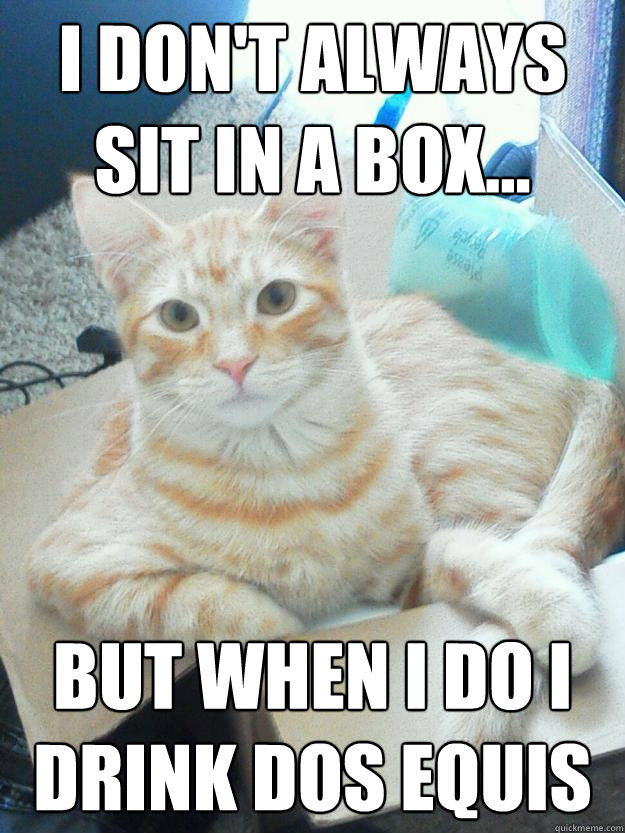 I don't always sit in a box... But when I do I drink Dos Equis  The Most Interesting Cat in the World