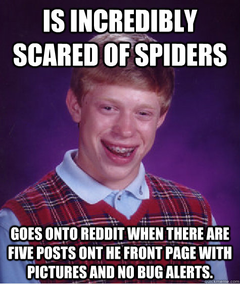 Is Incredibly scared of spiders Goes onto reddit when there are five posts ont he front page with pictures and no bug alerts. - Is Incredibly scared of spiders Goes onto reddit when there are five posts ont he front page with pictures and no bug alerts.  Bad Luck Brian