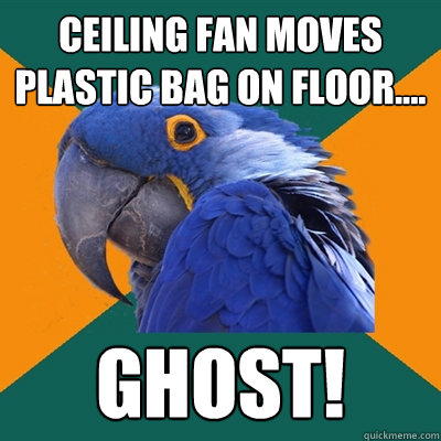 Ceiling fan moves plastic bag on floor.... Ghost!  Paranoid Parrot