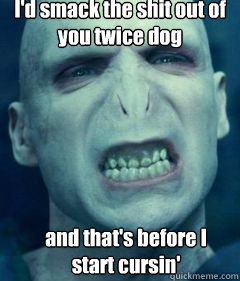 I'd smack the shit out of 
you twice dog and that's before I start cursin'  - I'd smack the shit out of 
you twice dog and that's before I start cursin'   Voldemort Meme