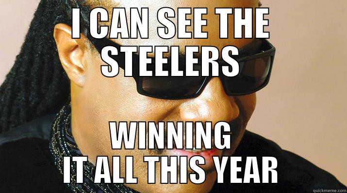 I CAN SEE THE STEELERS WINNING IT ALL THIS YEAR Misc