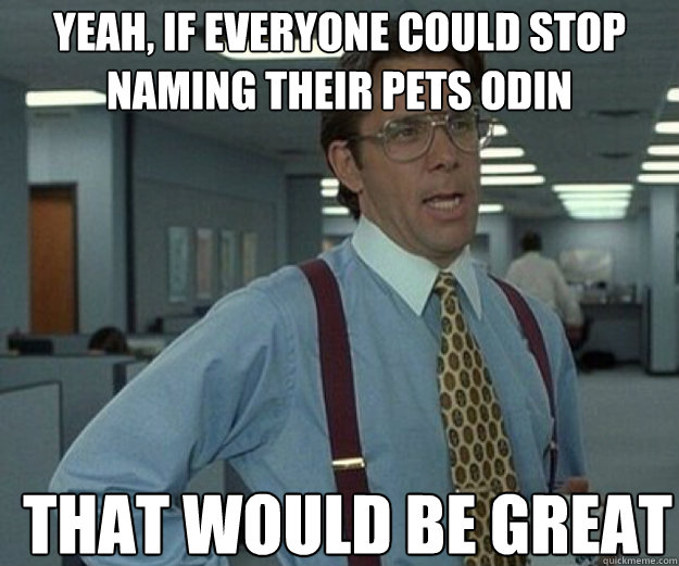 Yeah, if everyone could stop naming their pets Odin THAT WOULD BE GREAT  that would be great