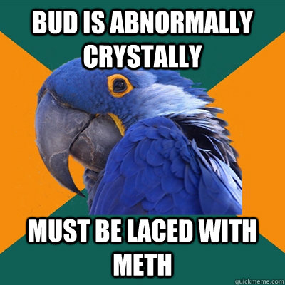 Bud is abnormally crystally must be laced with meth  Paranoid Parrot