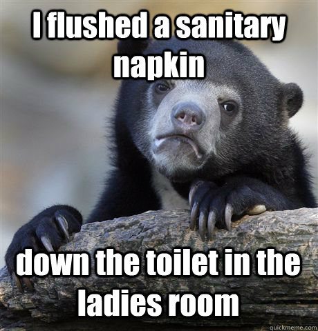 I flushed a sanitary napkin down the toilet in the ladies room  Confession Bear