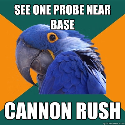 See one Probe near base Cannon rush  Paranoid Parrot
