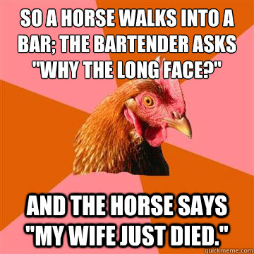 So a horse walks into a bar; the bartender asks 