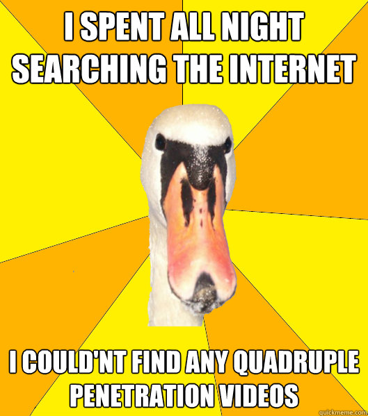 I spent all night searching the internet I could'nt find any Quadruple penetration videos   