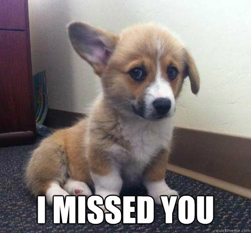  i missed you -  i missed you  Miss You Corgi