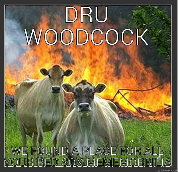 DRU WOODCOCK WE FOUND A PLACE FOR ALL YOUR RED SOX MEMEMORBILIA Evil cows