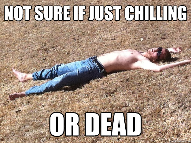 not sure if just chilling or dead  