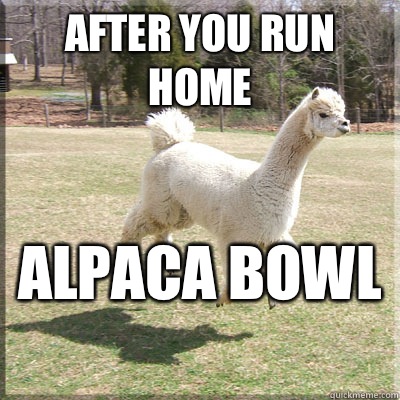 After you run home  Alpaca bowl   