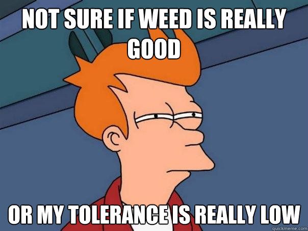Not sure if weed is really good Or my tolerance is really low  Futurama Fry