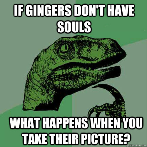 If Gingers don't have souls what happens when you take their picture?  Philosoraptor