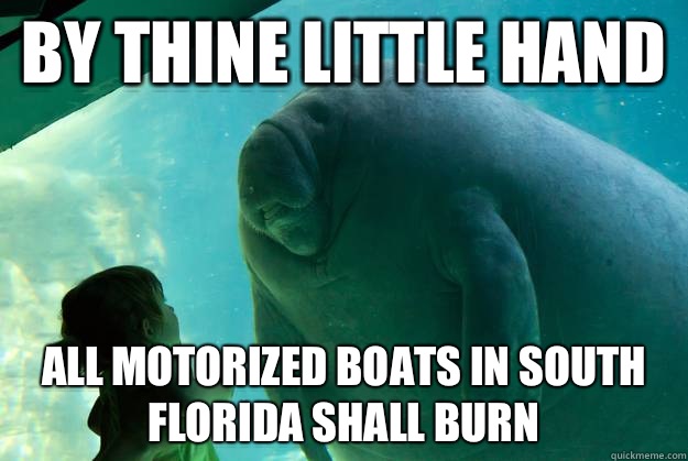 By thine little hand  All motorized boats in south Florida shall burn  Overlord Manatee