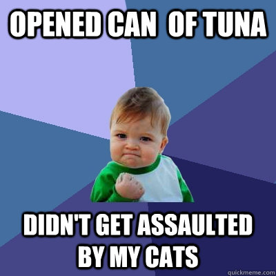 Opened can  of Tuna didn't get assaulted by my cats  Success Kid