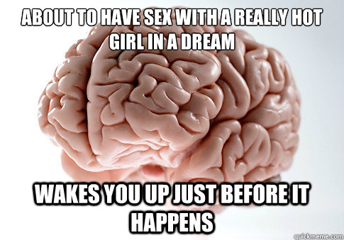 About to have sex with a really hot girl in a dream wakes you up just before it happens  Scumbag Brain