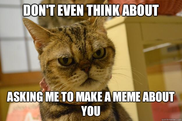 don't even think about Asking me to make a meme about you  Angry Cat