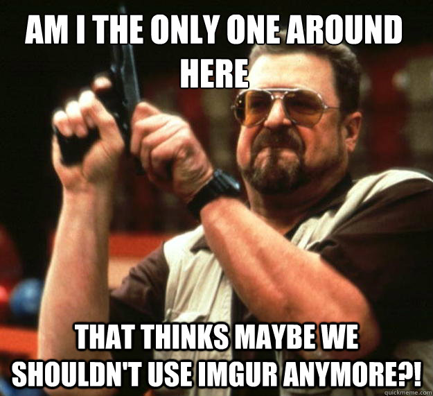 Am I the only one around here that thinks maybe we shouldn't use imgur anymore?!  Walter