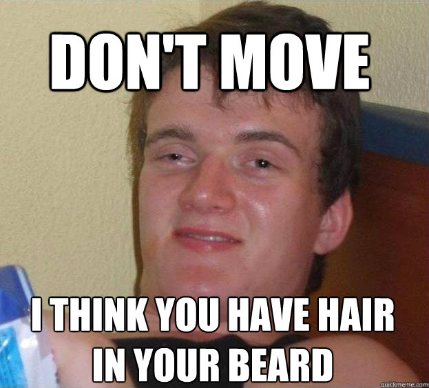 Don't move I think you have hair in your beard   The High Guy