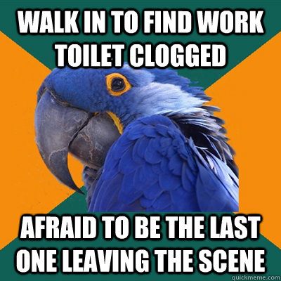 Walk in to find work toilet clogged afraid to be the last one leaving the scene  Paranoid Parrot