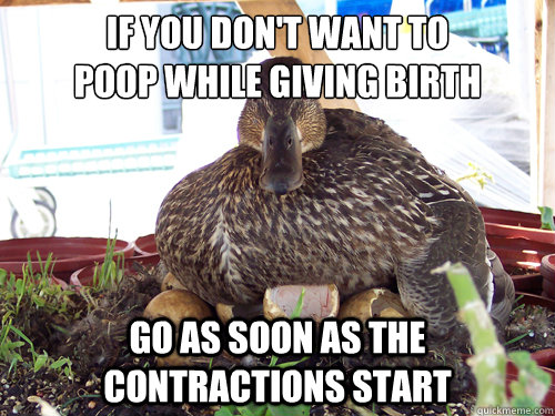 IF you don't want to 
poop while giving birth Go as soon as the contractions start  