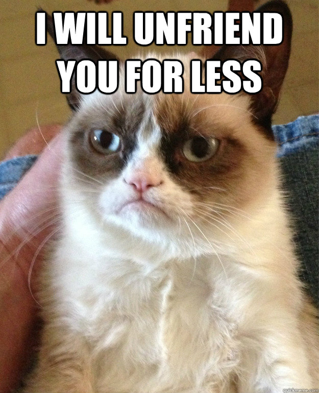 I will unfriend you for less   Grumpy Cat