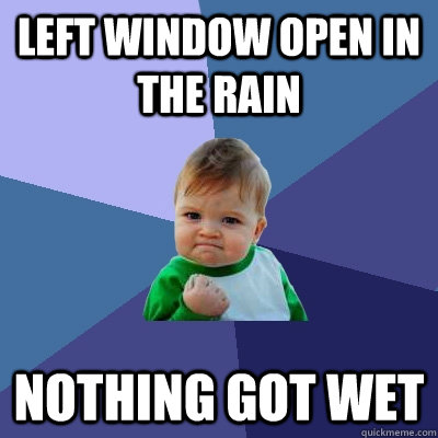 Left window open in the rain Nothing got wet  Success Kid