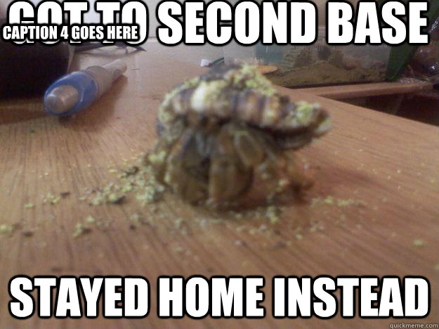 Got to second base Stayed home instead Caption 3 goes here Caption 4 goes here  Hermit Crab