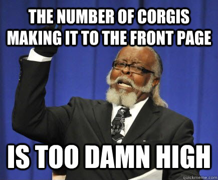 the number of corgis making it to the front page is too damn high  Too Damn High