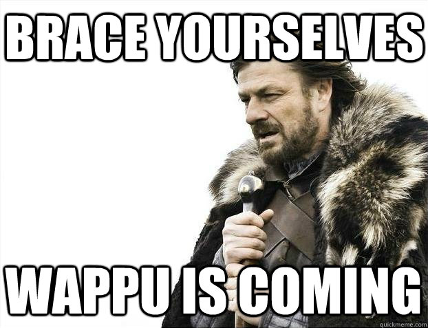 Brace yourselves Wappu is coming  BRACEYOSELVES