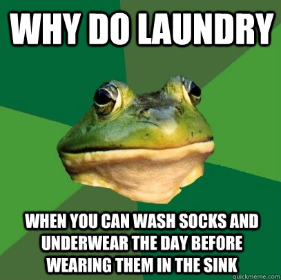 Why do laundry When you can wash socks and underwear the day before wearing them in the sink  Foul Bachelor Frog