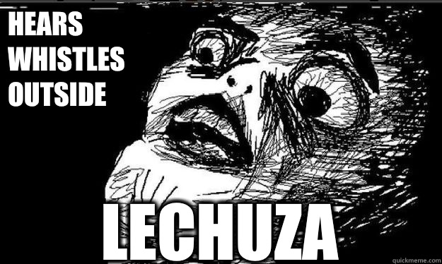 Lechuza Hears Whistles outside  Oh crap