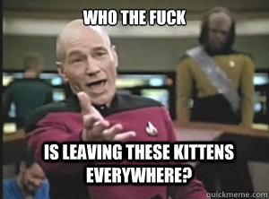 who the fuck is leaving these kittens everywhere?  Annoyed Picard