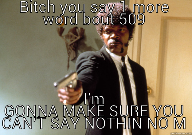 THIS GOES FOR EVERYONE - BITCH YOU SAY 1 MORE WORD BOUT 509 I'M GONNA MAKE SURE YOU CAN'T SAY NOTHIN NO MORE!  Samuel L Jackson