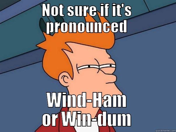 NOT SURE IF IT'S PRONOUNCED WIND-HAM OR WIN-DUM Futurama Fry