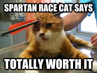 SPARTAN RACE CAT SAYS TOTALLY WORTH IT - SPARTAN RACE CAT SAYS TOTALLY WORTH IT  Skyrim Cat