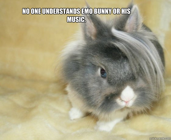 No one understands Emo Bunny or his music.  