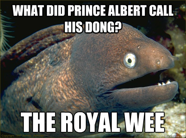what did prince albert call his dong? the royal wee - what did prince albert call his dong? the royal wee  Bad Joke Eel