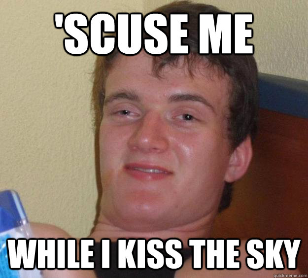 'Scuse me  while i kiss the sky  10 Guy