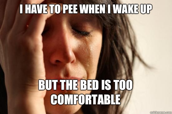 I HAVE TO PEE WHEN I WAKE UP
 BUT THE BED IS TOO COMFORTABLE   First World Problems