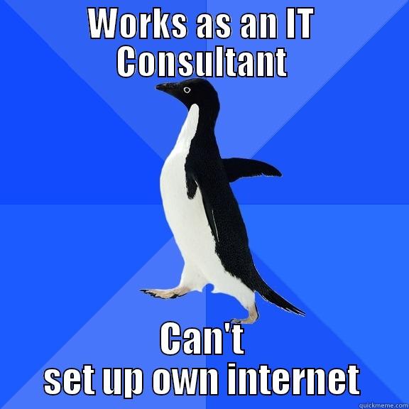 WORKS AS AN IT CONSULTANT CAN'T SET UP OWN INTERNET Socially Awkward Penguin