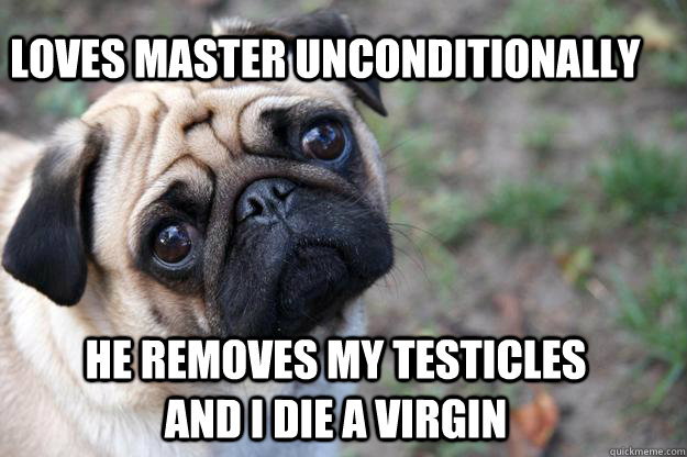 loves master unconditionally he removes my testicles and i die a virgin  First World Dog problems