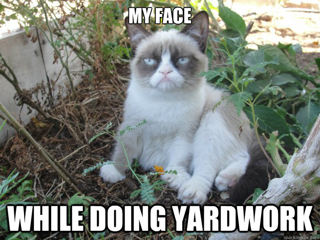 My face While doing yardwork - My face While doing yardwork  Misc